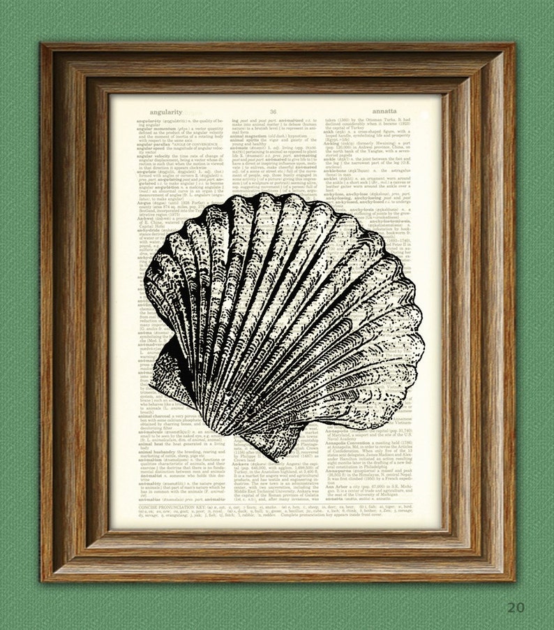 Cool SCALLOP Shell Beautifully Upcycled Dictionary Page Book Etsy