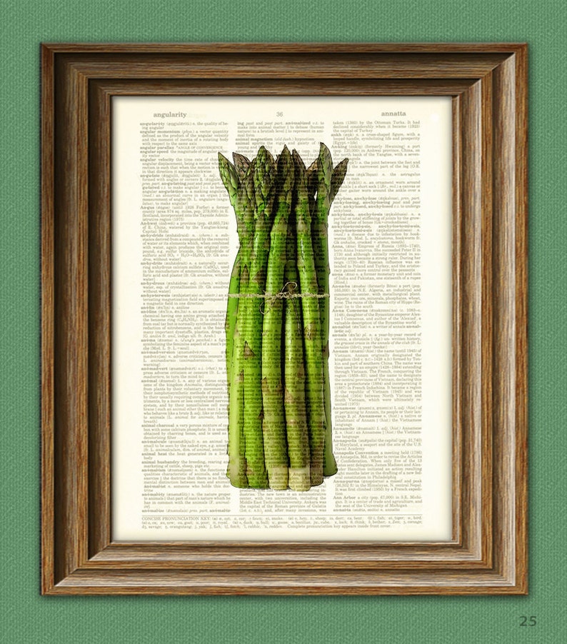 Yumtastic Green ASPARAGUS beautifully upcycled dictionary page Etsy