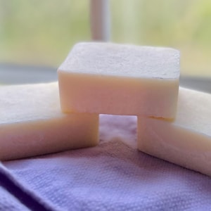 Tallow Shampoo Bar