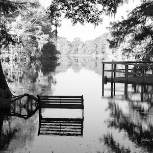 The River. Withlacoochee River in Flood Stage. Glass Print. Art Photography.