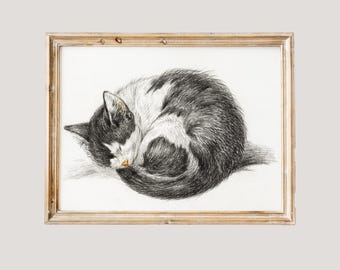 Schlafende Katze Skizze | Vintage Tier Wand Kunst Poster, Bauernhaus Kinderzimmer Wandkunst, Antike Ölgemälde Kunstdruck, Vintage Kitty Katze Kunstwerk