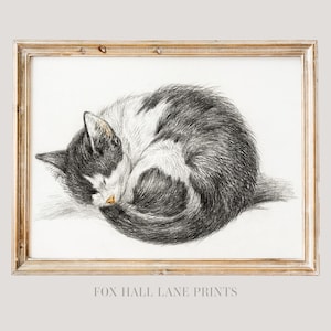 Sleeping Cat Sketch | Vintage Animal Wall Art Poster, Farmhouse Nursery Wall Art, Antique Oil Painting Art Print, Vintage Kitty Cat Artwork