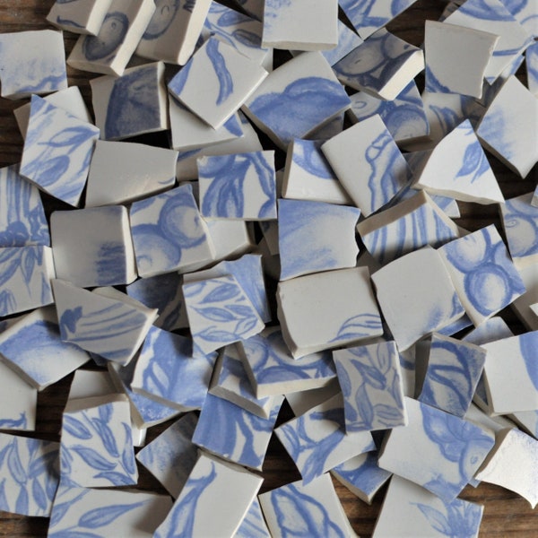 100 Broken China Mosaic Tiles, Light Blue, Recycled Plates, Mosaic Art Supply, Mixed Media Filler Tiles, Hand Cut, Assemblage, Leaves, Fruit