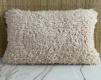 May include: A rectangular, cream-colored pillow with a shaggy, textured surface. The pillow has a soft, plush appearance, suggesting a cozy and comfortable design. The pillow is likely for home decor.