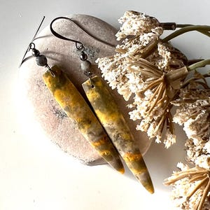 以下が含まれることがあります： 天然石のような外観の、長方形のイヤリングのペア。イヤリングは、黄色、茶色、グレーの色合いが混ざっています。各イヤリングは、濃い色の金属製のフックから吊り下げられており、小さな灰色のビーズが含まれています。イヤリングは、明るい色の石の上に置かれています。