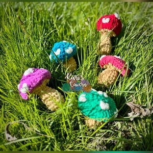 Mushroom Fidget Toys