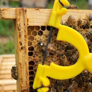 Strumento per marcare l'ape regina / Marcatore delicato per api da miele da applicare sui telaini - Confezione da 2