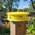 Hanging Honey Bee Pollen Feeder