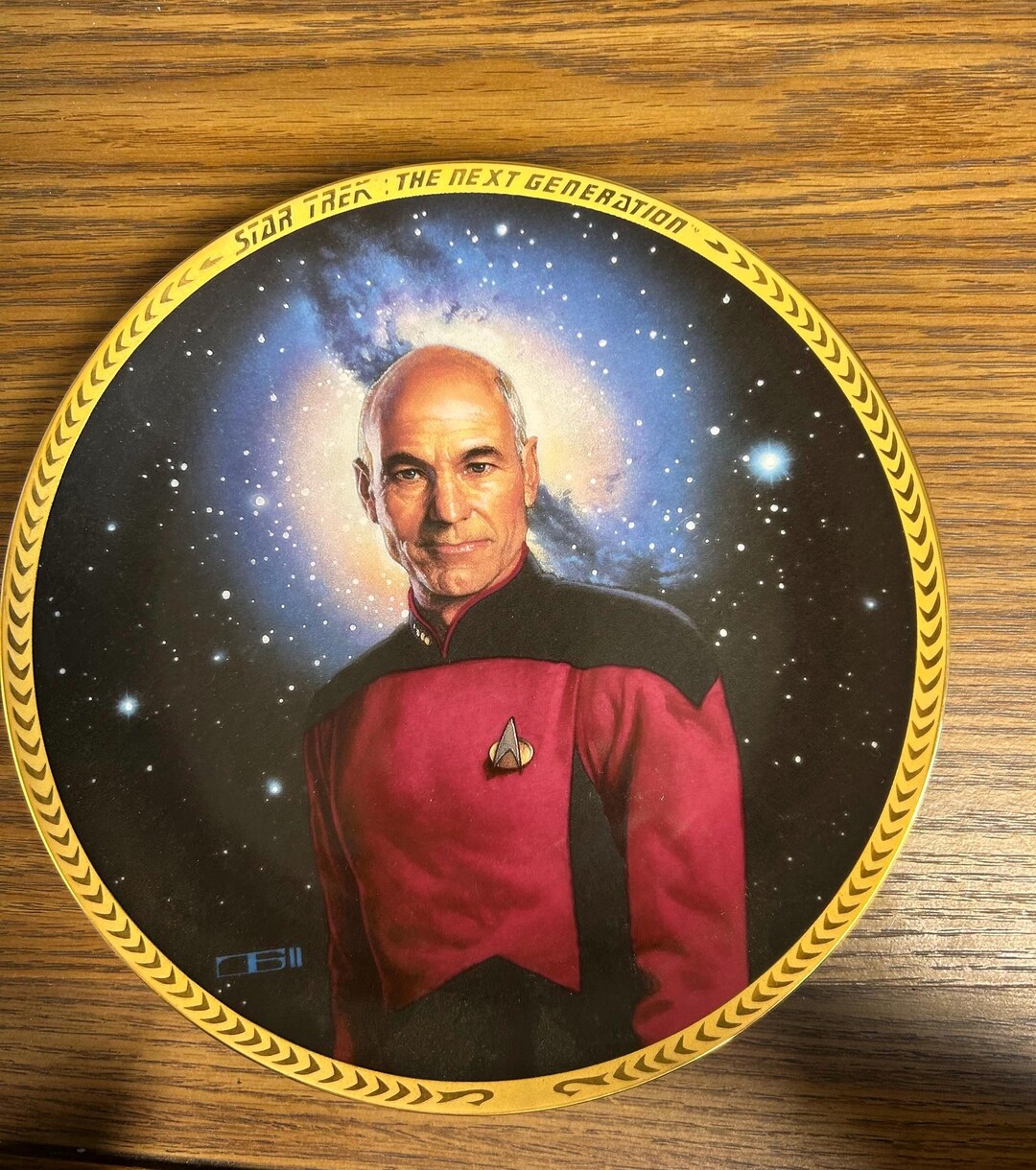1993 Star Trek the Next Generation Captain Jean-luc Picard Collector ...