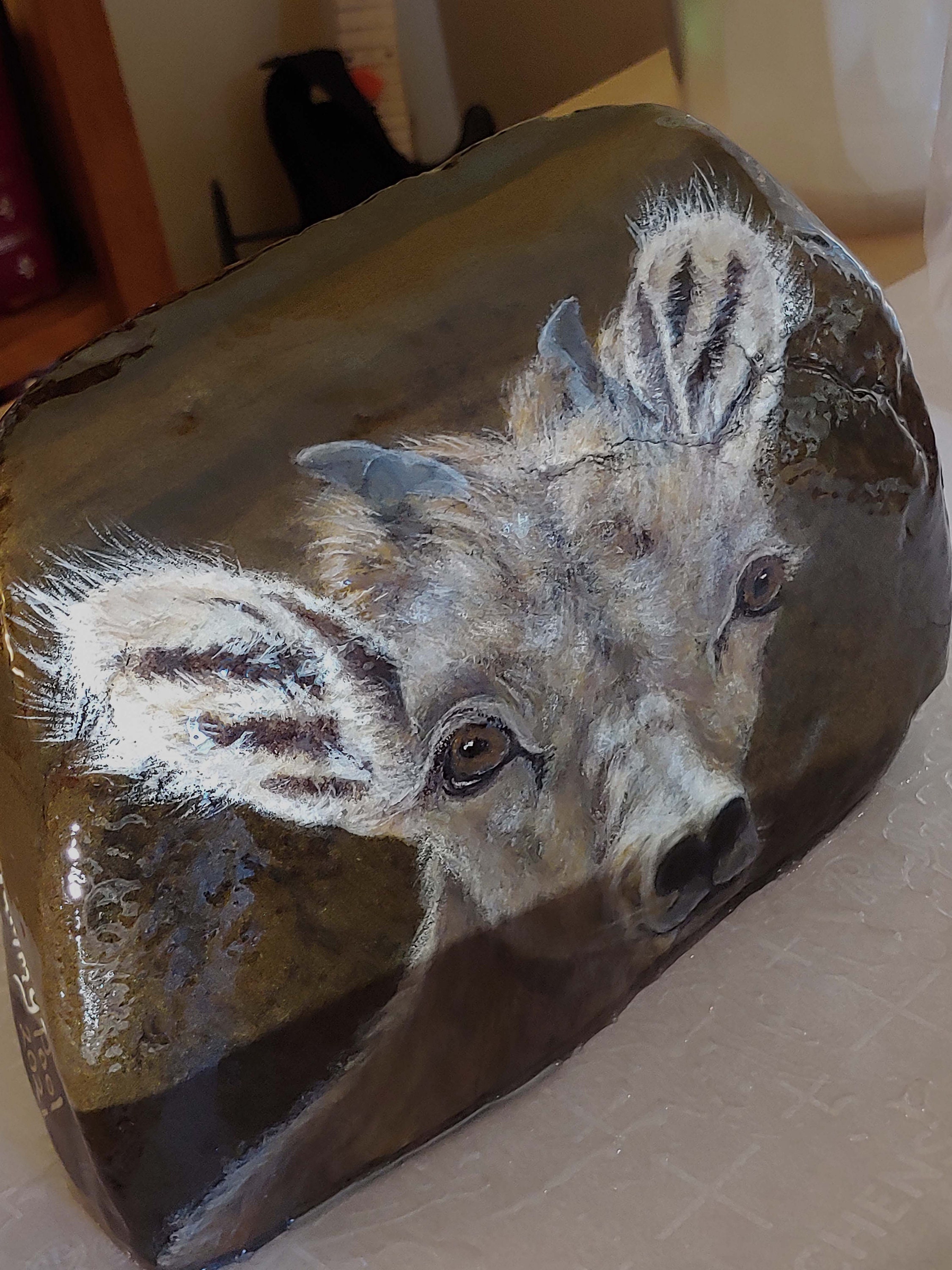 Young Big Horn Sheep Art Rock - Etsy