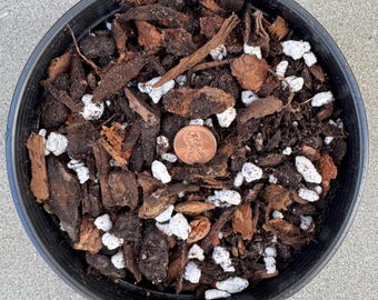 5-1-1 Citrus Soil Mix | Small Bark Nuggets, Coarse Perlite, Organic Potting Mix + Dolomite Lime
