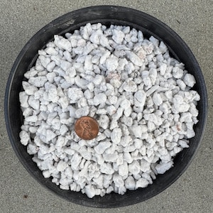 May include: A close-up of a black plastic container filled with white, small, irregular-shaped, volcanic rock. A penny is included for scale.