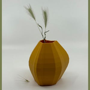 Meow Muse: Modern 3D Printed Vase