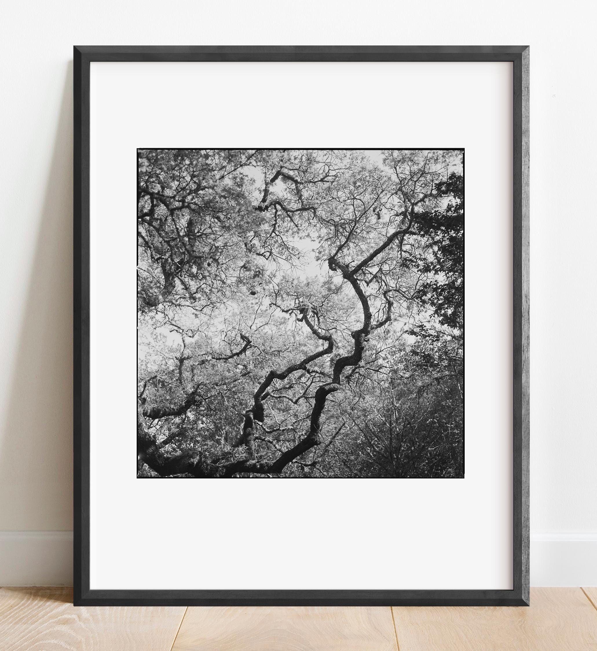Ansel adams tree print - Etsy 日本