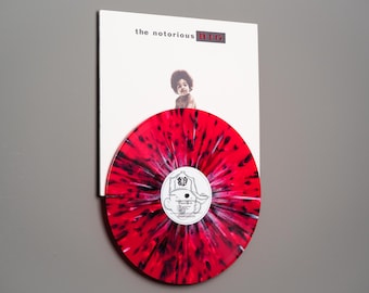 Vinyl Record & Album Cover Wall Display, Vinyl Display, Record Display