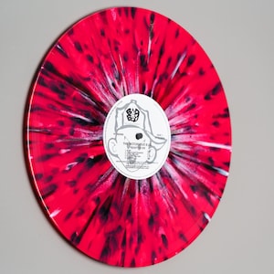 Vinyl Record Wall Display, Vinyl storage, Vinyl Display,Record Display