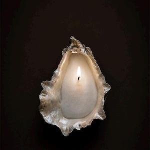 Coastal Christmas Oyster Shell Candles • Beach Holiday Decor • Handmade Seashell Gift Set