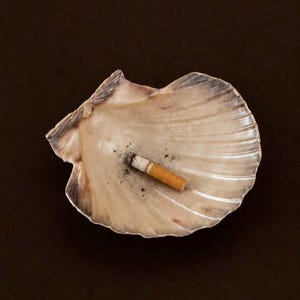 Seashell Ashtray, Boho Coastal Cigarette Holder, Aesthetic Smoking Accessory, Unique Ring Dish Multi-Use, Handmade Beach Home Decor