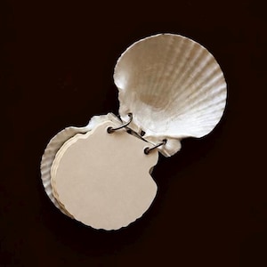 May include: A small notebook constructed from two white scallop shells serving as covers, connected by two metal binder rings. The interior consists of several blank, cream-coloured pages cut into a scalloped shape to match the shell covers.