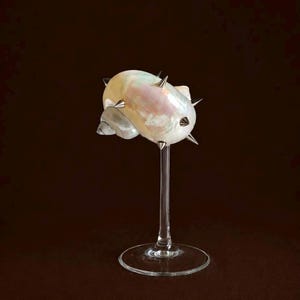 Può includere: Un oggetto decorativo composto da una conchiglia madreperlacea e iridescente, decorata con molteplici punte metalliche argentate. La conchiglia è montata su uno stelo in vetro trasparente e sottile con una base circolare, creando un display rialzato.