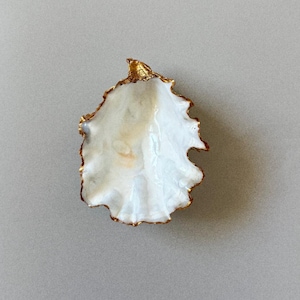 Seashell Jewelry Dish - Elegant Coastal Ring Holder, Bridal Party Gift, Ocean-Inspired Decor