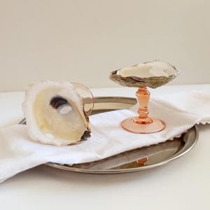 May include: An oyster shell and a pink stemmed glass holding an oyster shell rest on a silver tray with a white napkin. The oyster shells have a pearlescent interior and a rough, textured exterior. The glass has a round base and a detailed stem.