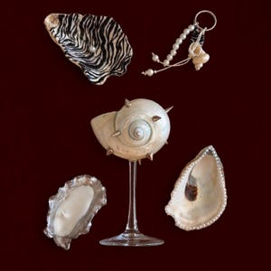 May include: A collection of decorative items including an oyster shell with a black and white zebra pattern and a pearl, a keychain with pearls and shells, a large spiral seashell with metal spikes on a glass stand, a shell candle, and a shell with a pearl border.