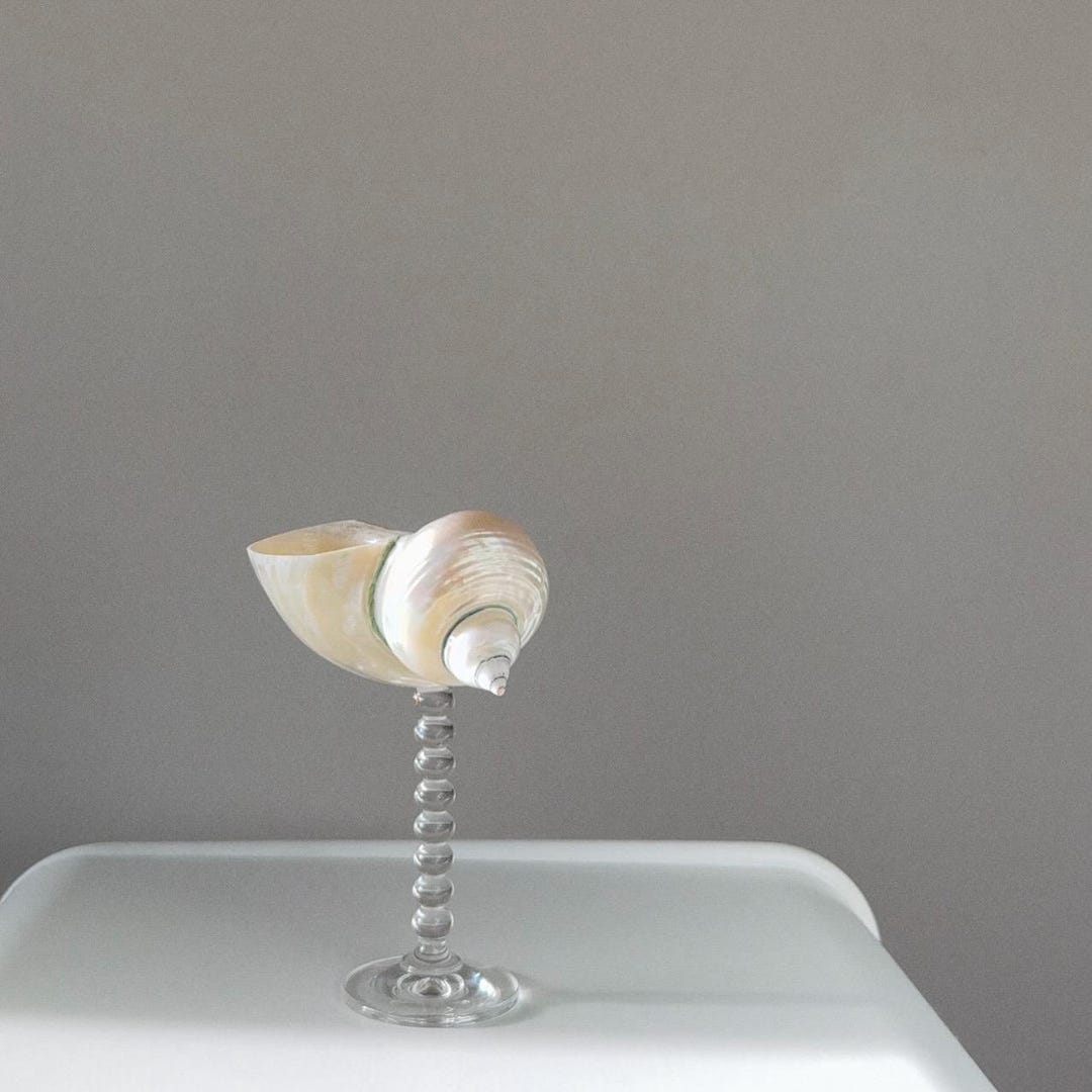 Seashell Anniversary Toast Set, Luxury Shell Champagne Glassware ...