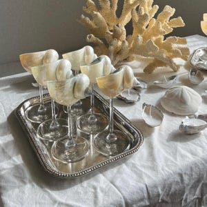 Beautiful view of Seashell Gift For Her Coastal Style