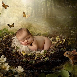 Newborn Digital Backdrop, Woodland Newborn Nest Backdrop, Newborn Digital Background, Newborn Composite, Forest Backdrop, Woodland Nest3