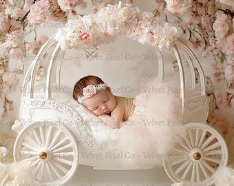 May include: A newborn baby girl sleeps peacefully in a white carriage decorated with pink flowers. The carriage is surrounded by white flowers and a pink tulle skirt.