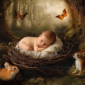 Newborn Digital Backdrop, Woodland Newborn Nest Backdrop, Newborn Digital Background, Newborn Composite, Forest Backdrop, Woodland Nest1