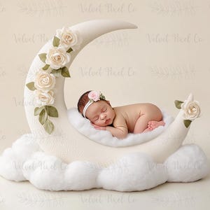 Newborn Digital Backdrop, Floral Moon Newborn Digital Background, Newborn Photography, Moon Stars Clouds Girl Backdrop, Floral Moon 7