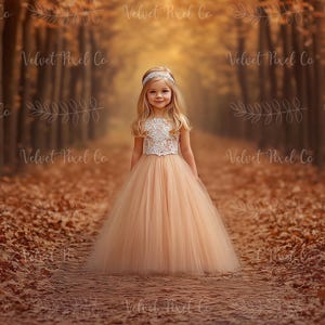 Fall Autumn Digital Backdrop, Autumn Leaves Background, Forest Leaf Path Photography Backdrop, Photoshop Composite Overlay, Fall Backdrop 7