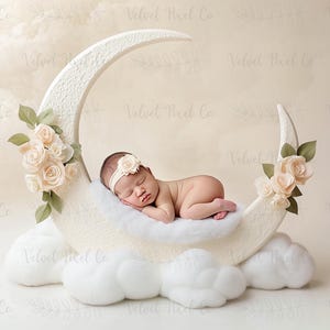 Newborn Digital Backdrop, Floral Moon Newborn Digital Background, Newborn Photography, Moon Stars Clouds Girl Backdrop, Floral Moon 5