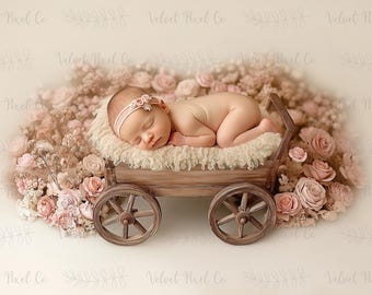 Newborn Digital Backdrop, Newborn Floral Wooden Cart Background, Princess Floral Cart, Photoshop Composite, Holiday Backdrop, Floral Cart 2