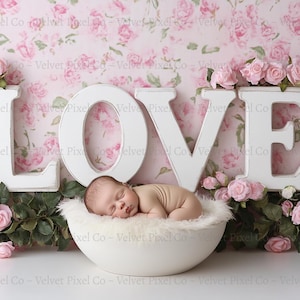Fundo digital para recém-nascidos, fundo floral de amor para namorados, adereço para fotografia digital para recém-nascidos, sobreposição composta do Photoshop, amor 1