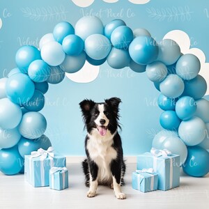 Digital Photography Backdrop, Balloon Arch Background, Boy Pet Birthday Balloons, Photoshop Cake Smash Composite Overlay, Blue Balloon Arch1