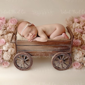 Newborn Digital Backdrop, Newborn Floral Wooden Cart Background, Princess Floral Cart, Photoshop Composite, Holiday Backdrop, Floral Cart 3