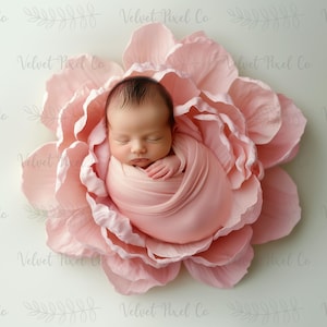 May include: A newborn baby swaddled in pink fabric, nestled inside a large, soft, pink flower. The baby is sleeping peacefully. The image has the text "Velvet Pixel Co" in the corners.