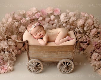 Newborn Digital Backdrop, Newborn Floral Wooden Cart Background, Princess Floral Cart, Photoshop Composite, Holiday Backdrop, Floral Cart 1