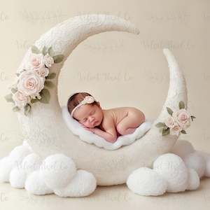 Newborn Digital Backdrop, Floral Moon Newborn Digital Background, Newborn Photography, Moon Stars Clouds Girl Backdrop, Floral Moon 4