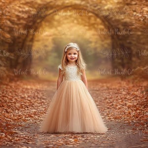 Fall Autumn Digital Backdrop, Autumn Leaves Background, Forest Leaf Path Photography Backdrop, Photoshop Composite Overlay, Fall Backdrop 8