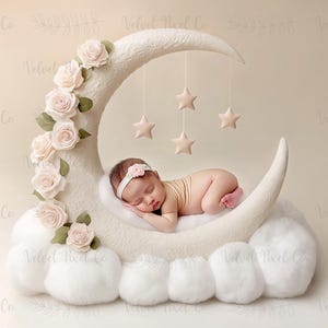Newborn Digital Backdrop, Floral Moon Newborn Digital Background, Newborn Photography, Moon Stars Clouds Girl Backdrop, Floral Moon 1