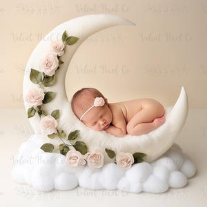 Newborn Digital Backdrop, Floral Moon Newborn Digital Background, Newborn Photography, Moon Stars Clouds Girl Backdrop, Floral Moon 2