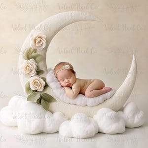 Newborn Digital Backdrop, Floral Moon Newborn Digital Background, Newborn Photography, Moon Stars Clouds Girl Backdrop, Floral Moon 6