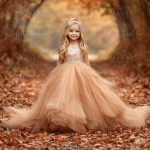 Fall Autumn Digital Backdrop, Autumn Leaves Background, Forest Leaf Path Photography Backdrop, Photoshop Composite Overlay, Fall Backdrop 3