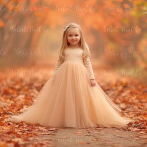 Fall Autumn Digital Backdrop, Autumn Leaves Background, Forest Leaf Path Photography Backdrop, Photoshop Composite Overlay, Fall Backdrop 2