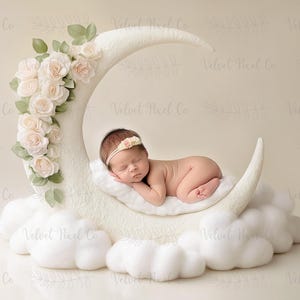 Newborn Digital Backdrop, Floral Moon Newborn Digital Background, Newborn Photography, Moon Stars Clouds Girl Backdrop, Floral Moon 3
