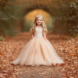 Fall Autumn Digital Backdrop, Autumn Leaves Background, Forest Leaf Path Photography Backdrop, Photoshop Composite Overlay, Fall Backdrop 9